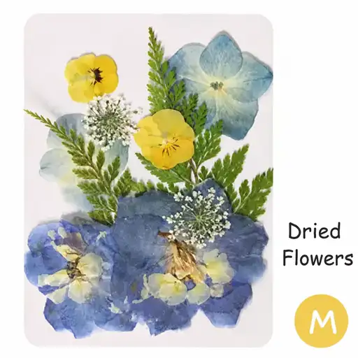 DIY Dried Flower Bookmark Making Materials