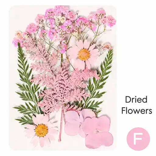 DIY Dried Flower Bookmark Making Materials