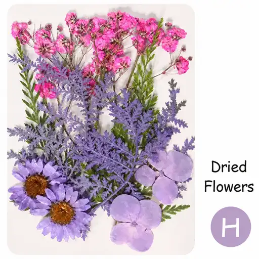 DIY Dried Flower Bookmark Making Materials