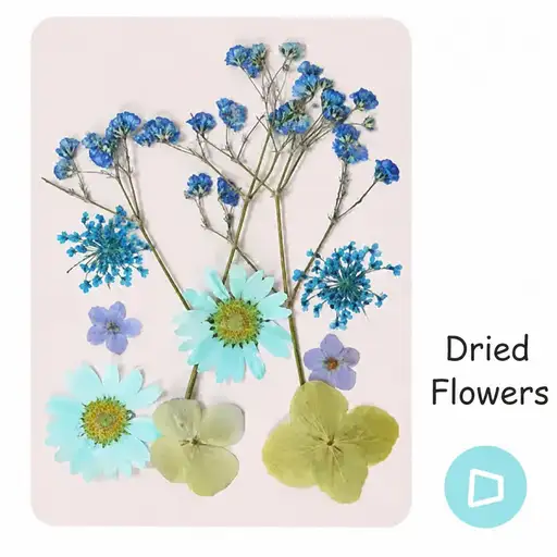 DIY Dried Flower Bookmark Making Materials