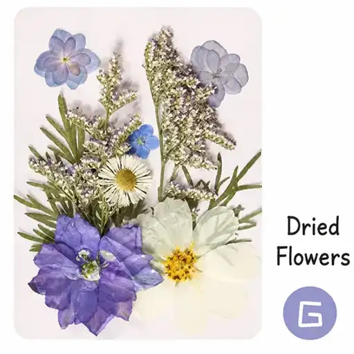 DIY Dried Flower Bookmark Making Materials