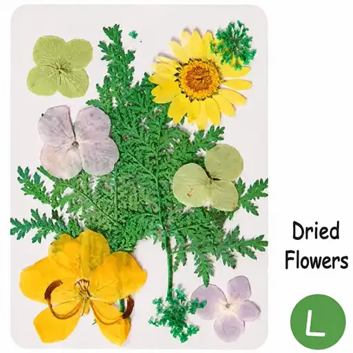 DIY Dried Flower Bookmark Making Materials