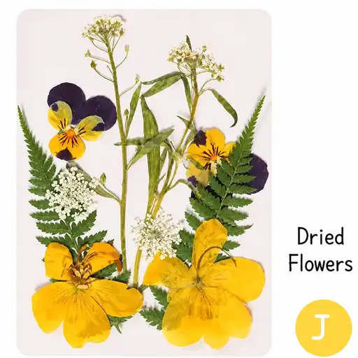 DIY Dried Flower Bookmark Making Materials