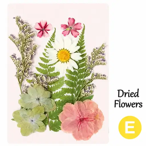DIY Dried Flower Bookmark Making Materials