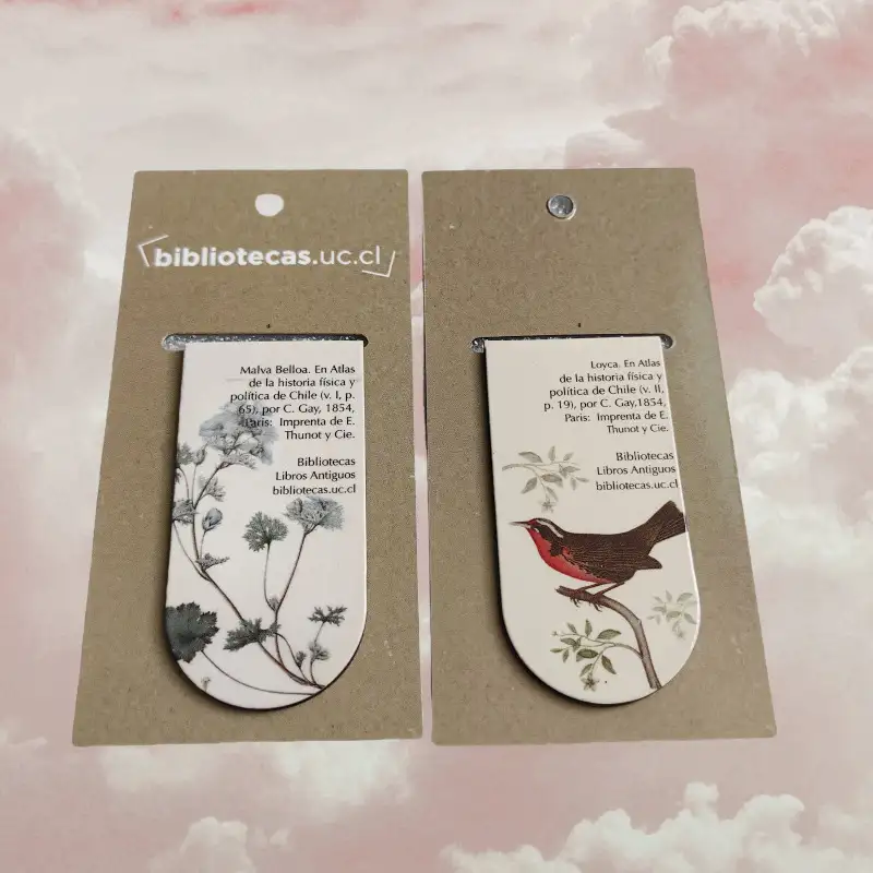 Cute Cartoon Magnetic Bookmarks, Set of Two