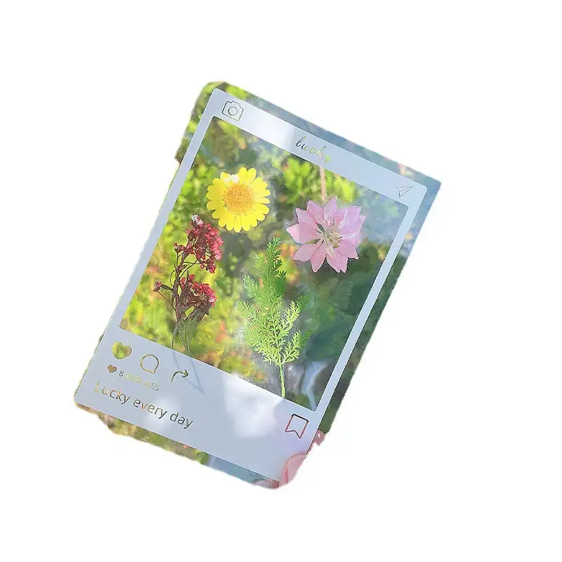 DIY Dried Flower Bookmark with Transparent Specimen Bottle