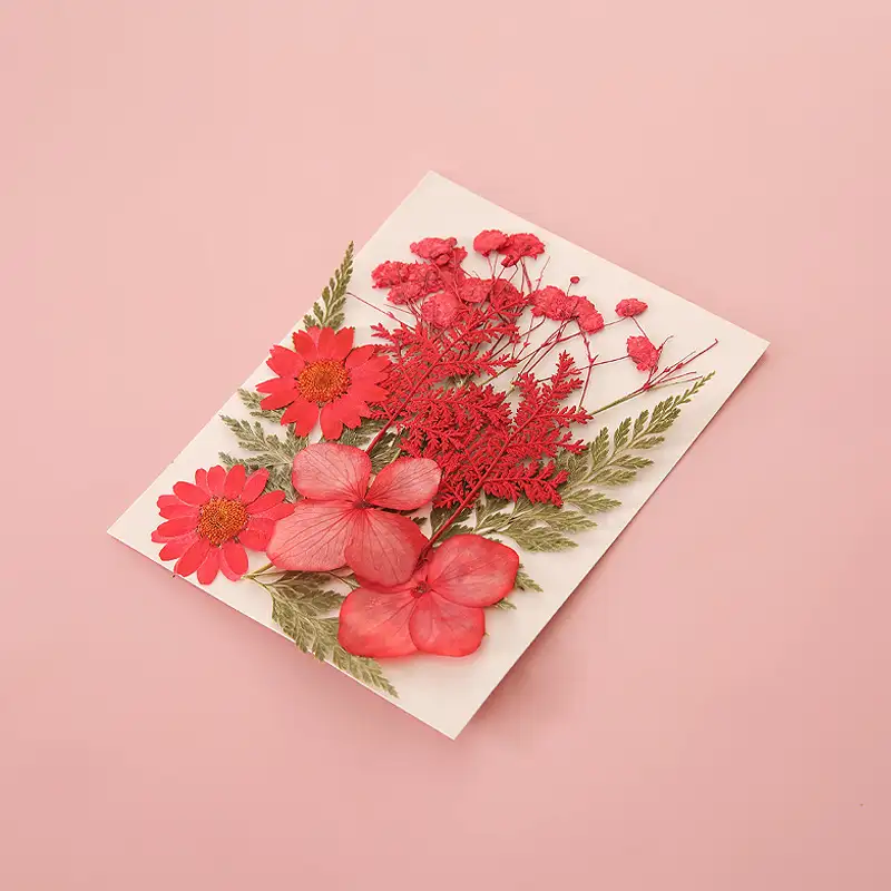 DIY Dried Flower Bookmark with Transparent Specimen Bottle