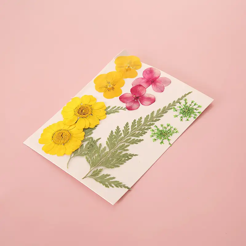 DIY Dried Flower Bookmark with Transparent Specimen Bottle